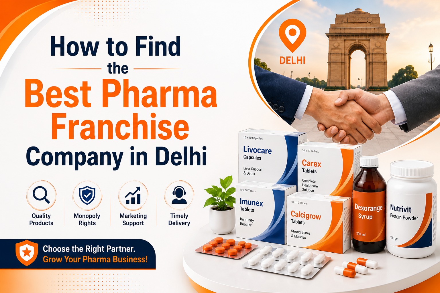 How to Find the Best Pharma Franchise Company in Delhi