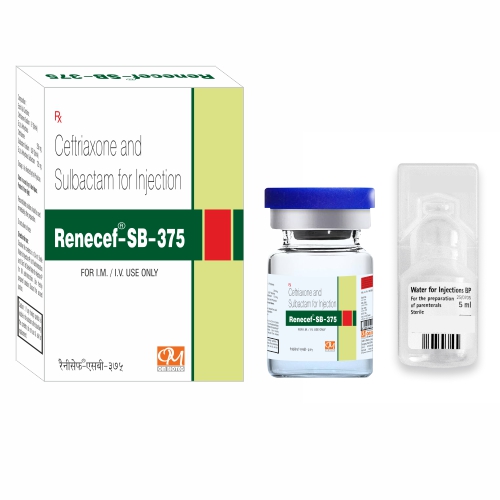 RENECEF-SB-375